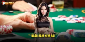 Ngầu hầm xem bài