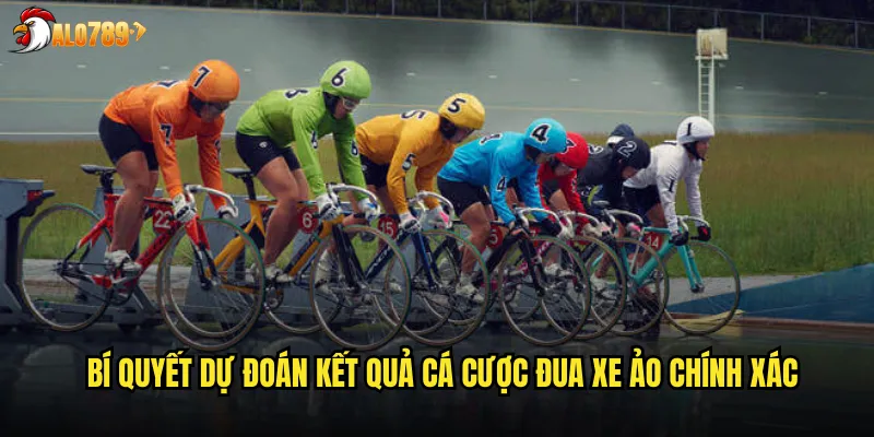 Bí quyết dự đoán kết quả cá cược đua xe ảo chính xác