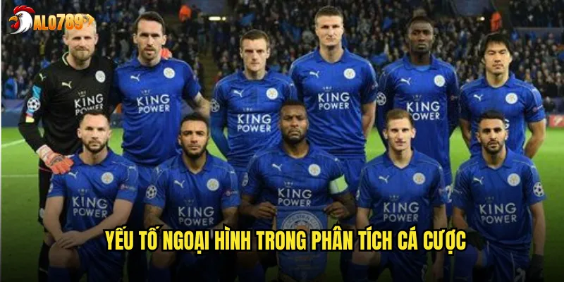 Yếu tố ngoại hình trong phân tích cá cược